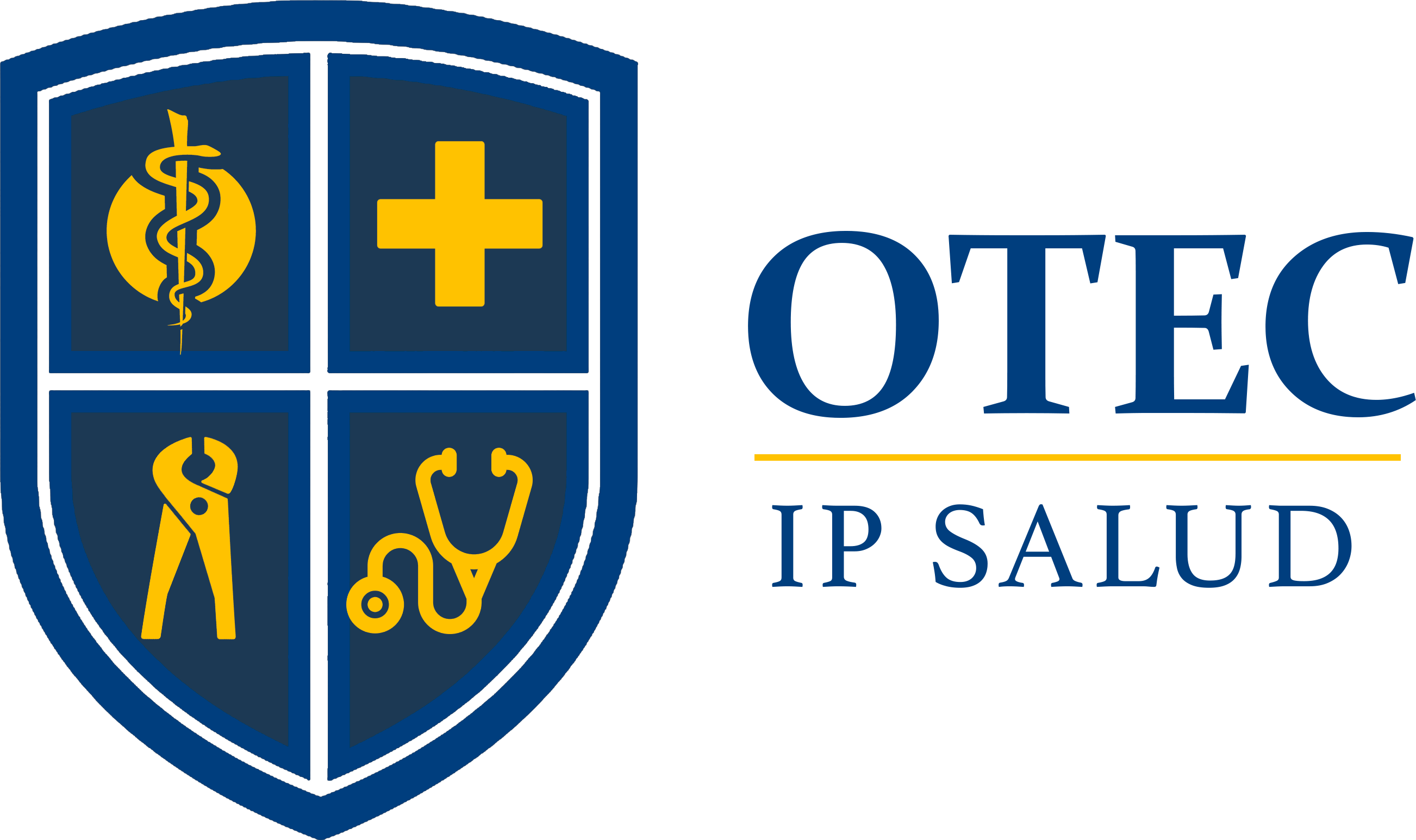 Aula Virtual Ipsalud