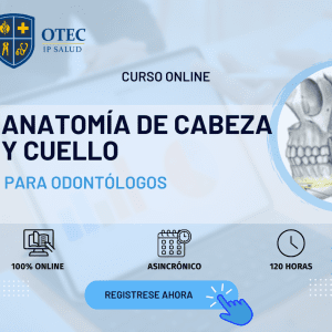 ANATOMÍA DE CABEZA Y CUELLO PARA ODONTÓLOGOS