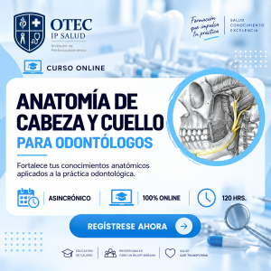 Curso: Anatomía de Cabeza y Cuello para odontólogos