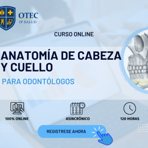 ANATOMÍA DE CABEZA Y CUELLO PARA ODONTÓLOGOS