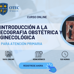 INTRODUCCIÓN A LA ECOGRAFÍA OBSTÉTRICA Y GINECOLÓGICA EN ATENCIÓN PRIMARIA